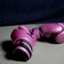 드래곤복싱클럽 이미지