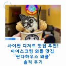 와플북 | 사이판 아이스크림 와플 맛집 추천! '판다하우스 와플' 솔직 후기