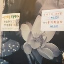 대덕대로-13 이미지