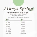 반려견 천연 아로마 테라피 이미지