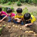 노란풍차유치원 이미지