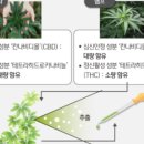 주식회사 해마루 이미지