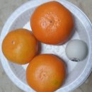 녹산농원 이미지