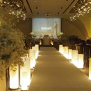 센텀호텔카카오트리 이미지