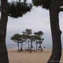 힐링과 휴식, 맛집이 있는 낙산 추천 명소 여행