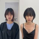 헤어정원 - 강남구 논현로67길 43 | 헤어정원