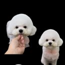 큐티살롱 이미지