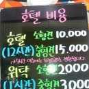 러브펫 멀티 펫샵 이미지