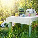 피크닉 도시락 이미지