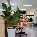 덕산동행정복지센터 이미지