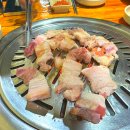 금돈관 이미지