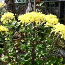 박이농장 이미지