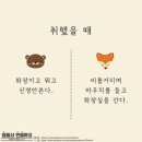 곰여우