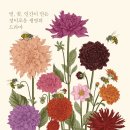 (주)에이도스 이미지