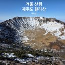 남원읍-58 | 겨울 산행 한라산 등반 후기 탐방예약 후 성판악 코스에서 백록담까지, 관음사 하산 실제 경험담