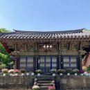 유토피아2 | 청도 대적사, 북적이는 청도 와인터널 바로 옆 숨겨진 천년고찰의 반전