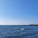 군산항 (배홍배) 이미지