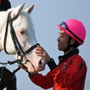 경마루 스테이 이미지