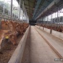 하나리농장 이미지