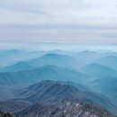 동탄 청림태권도장 이미지