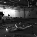 크로스핏 테디짐 동탄 이미지