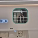 20 | 인천 계양점 월드킹 키즈카페 솔직 후기/아이와 함께 가기 좋은 실내 놀이터 추천