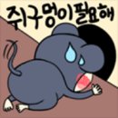 박가부대 이미지