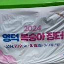 [영덕] 내돈내산 영덕복숭아 영덕복숭아장터 후기