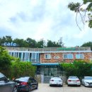 그린로프트 | 강동구 고덕브런치까페, 고덕동 까페 그린로프트 내돈내산 후기