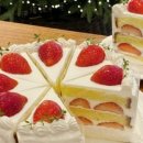 비마이문 이미지