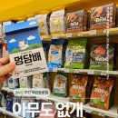 부평애완용품점