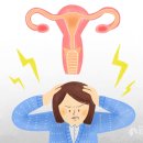 오동나무한의원 이미지