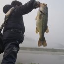 청도천3 이미지