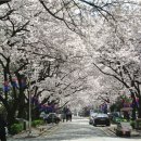 방배동 사람들 이미지