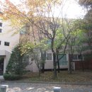 황새울로132번길 이미지