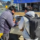 부산경상대학교 반려견유치원 이미지