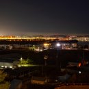 피노펠리즈 이미지