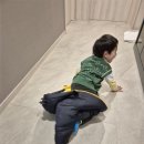 광교산이주는밥상만들기 | 유아식 반찬| 소고기 비트 느타리버섯 볶음 만들기