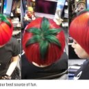 토마토헤어 이미지