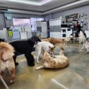 프로네앞마당 이미지