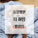 동물병원 더 하임 | 신흥동 산성 자이푸르지오 동물병원 더하임 방문후기