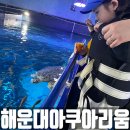 주식회사 우리동물약품 | 부산아쿠아리움 여행특공대 티켓 할인 해양탐험선 후기