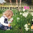 2023-03-26 주일 설교 | 말씀이 풍성하게 살아나면 이런 향기가 납니다! | 골로새서 3장 15절 이미지