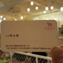 도그홀릭 이미지