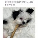 깜식당 | 갤러리털기
