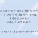 핑크스토리 이미지