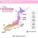 2024 일본 오사카 조폐국본국 4월 벚꽃축제 예약 꿀팁 모음집 (오사카성 벚꽃 후기)