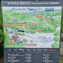 여름 7 8월 서울 근교 나들이 가볼만한 곳 광명동굴 후기입니다.