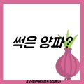 와이앤제이푸드 주식회사 이미지