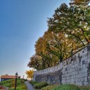 도성약국 이미지